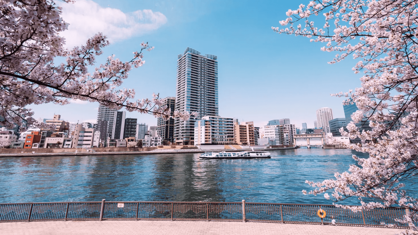 Asia-Pacific markets rise as Hong Kong tech stocks rally; Baidu shares pop 12%